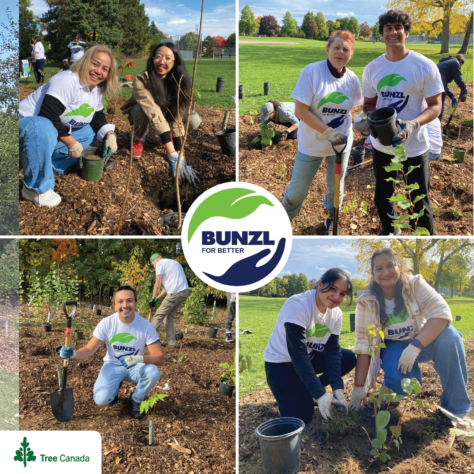 Tree Planting Photos-01