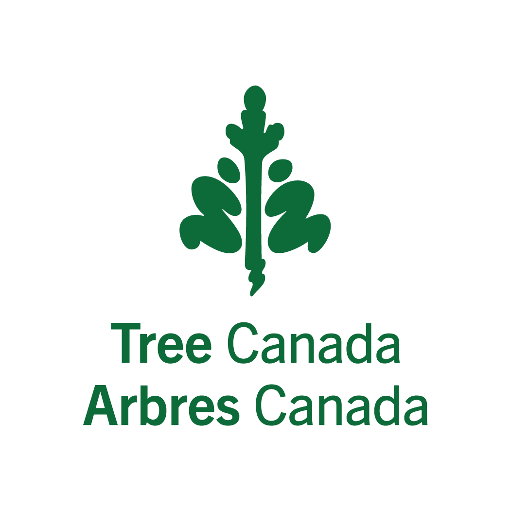 tree-canada-colour-vertical-en-fr